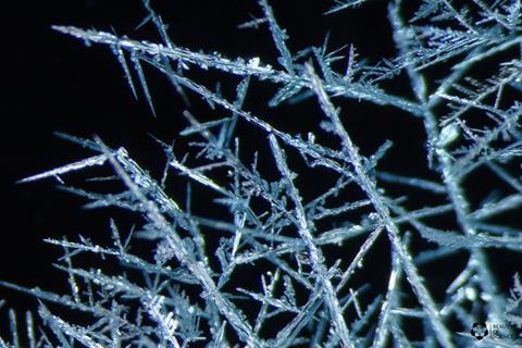 Metal displacement reactions